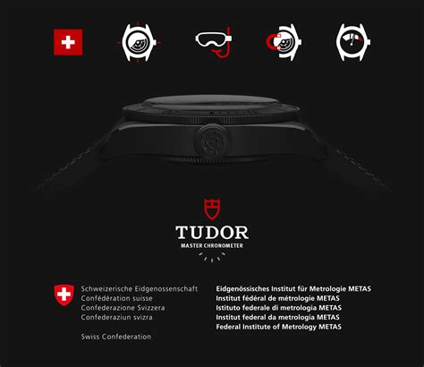 metas certification tudor